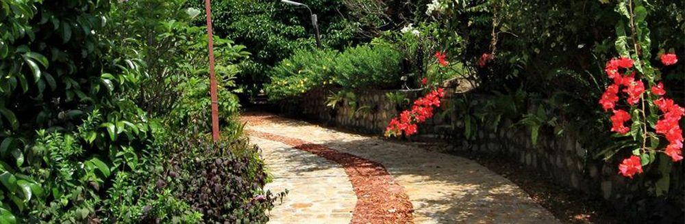קפ Spring Valley Resort מראה חיצוני תמונה