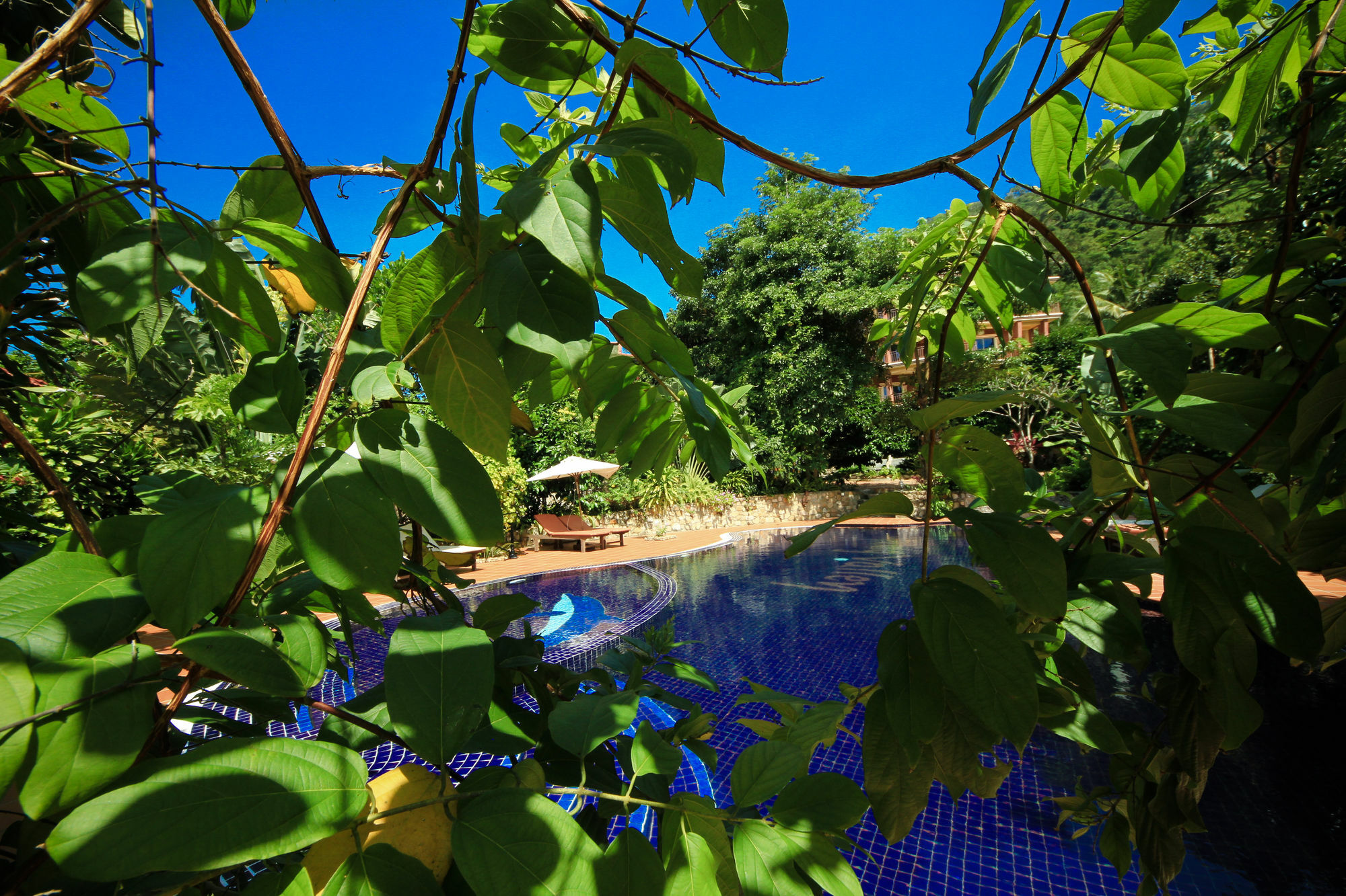 קפ Spring Valley Resort מראה חיצוני תמונה